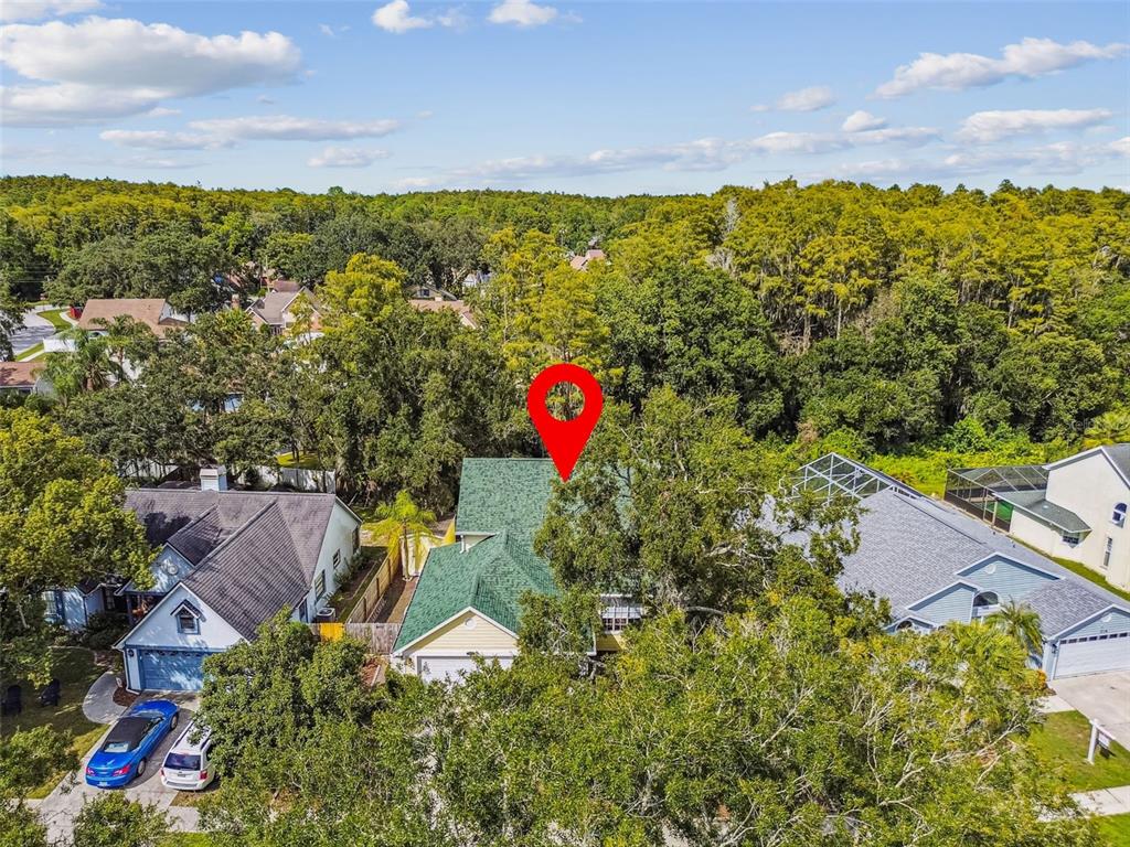 7115 Hummingbird Lane New Port Richey, FL 34655 - Photo 64 of 75 a view of a city