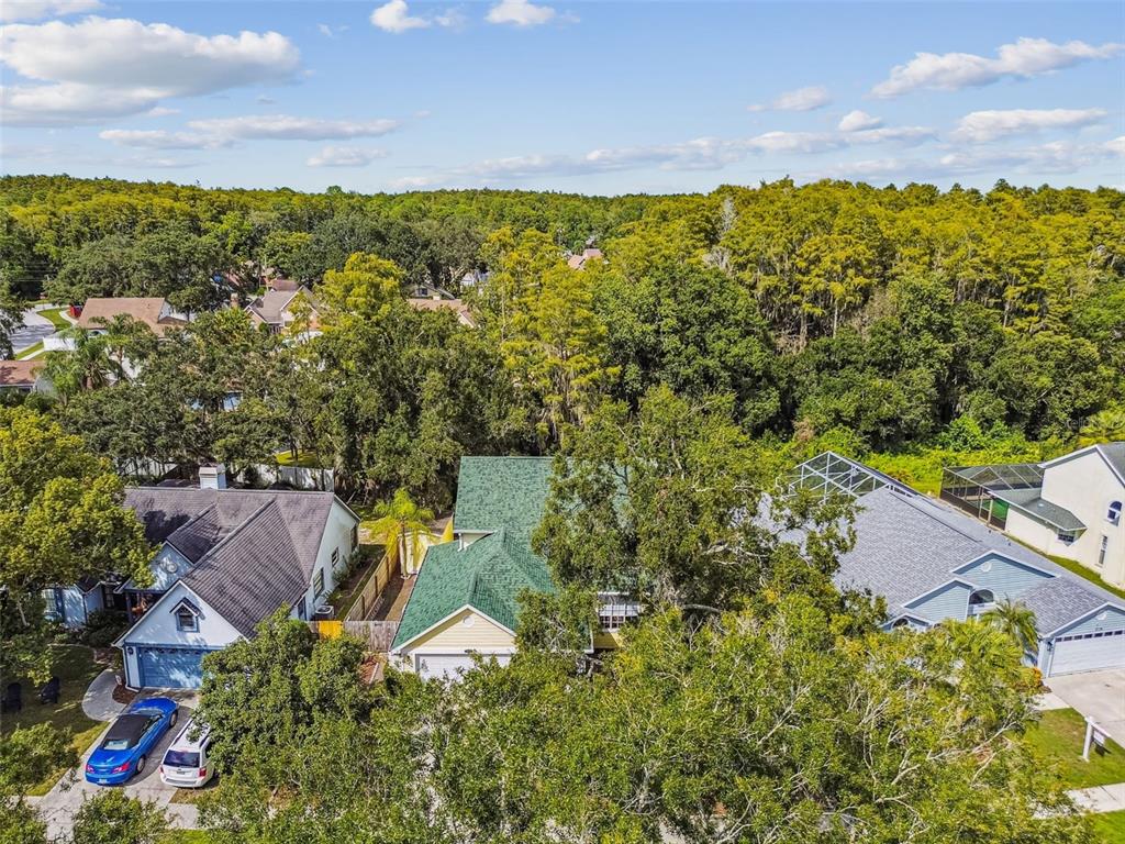 7115 Hummingbird Lane New Port Richey, FL 34655 - Photo 69 of 75