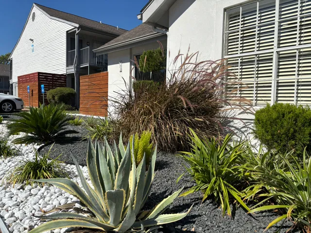 a plant that is in front of a house