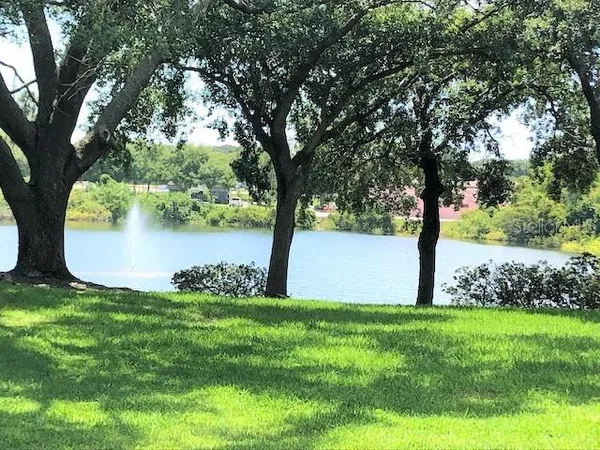 a view of a garden with a tree