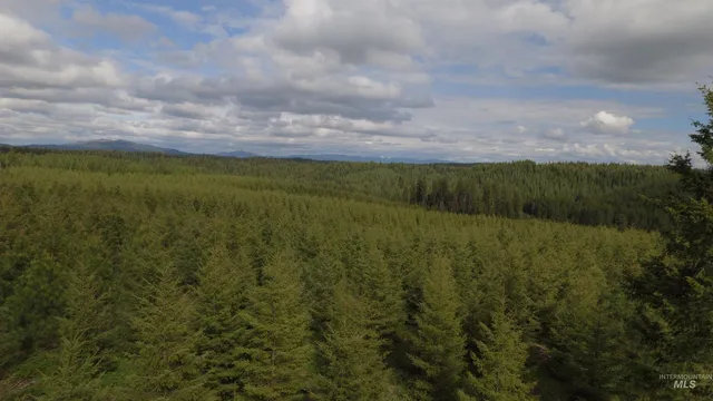 $213,900 | 3 Orofino Id 83544, Orofino, ID 83544