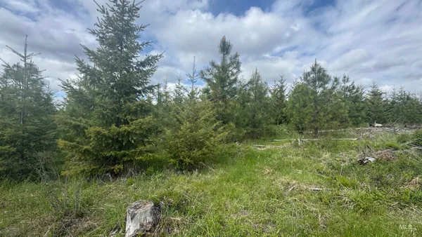 $213,900 | 3 Orofino Id 83544, Orofino, ID 83544