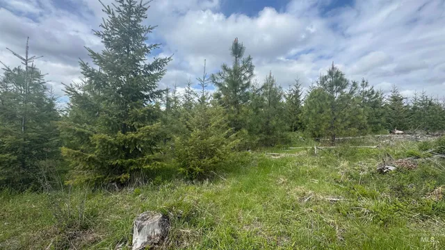 $213,900 | 3 Orofino Id 83544, Orofino, ID 83544