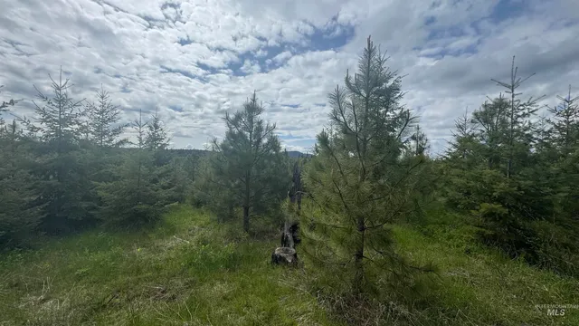 $213,900 | 3 Orofino Id 83544, Orofino, ID 83544