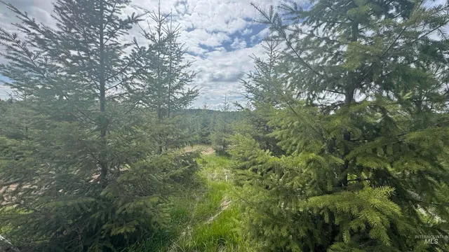 $213,900 | 3 Orofino Id 83544, Orofino, ID 83544