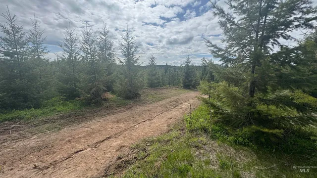 $213,900 | 3 Orofino Id 83544, Orofino, ID 83544