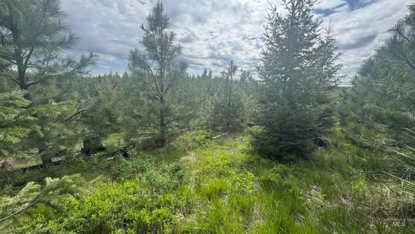 $213,900 | 3 Orofino Id 83544, Orofino, ID 83544