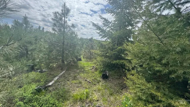 $213,900 | 3 Orofino Id 83544, Orofino, ID 83544