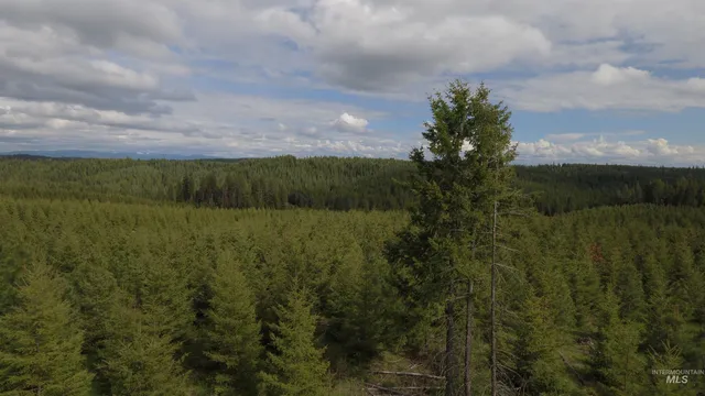 $213,900 | 3 Orofino Id 83544, Orofino, ID 83544