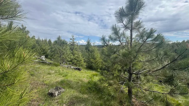 $213,900 | 3 Orofino Id 83544, Orofino, ID 83544