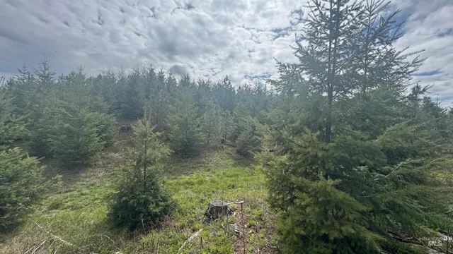 $213,900 | 3 Orofino Id 83544, Orofino, ID 83544