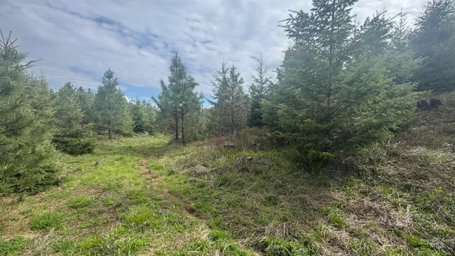 $213,900 | 3 Orofino Id 83544, Orofino, ID 83544