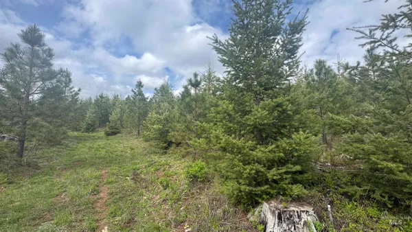 $213,900 | 3 Orofino Id 83544, Orofino, ID 83544