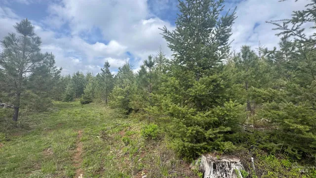 $213,900 | 3 Orofino Id 83544, Orofino, ID 83544