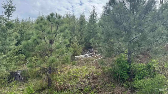 $213,900 | 3 Orofino Id 83544, Orofino, ID 83544