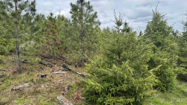 $213,900 | 3 Orofino Id 83544, Orofino, ID 83544