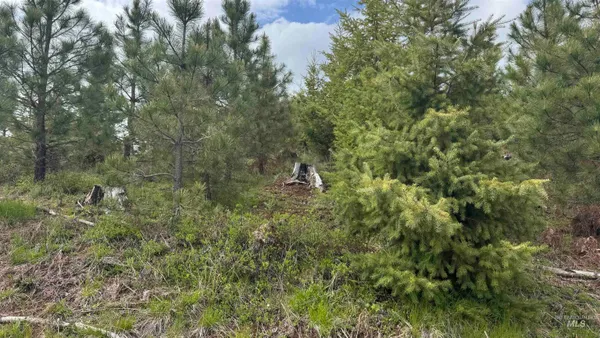 $213,900 | 3 Orofino Id 83544, Orofino, ID 83544