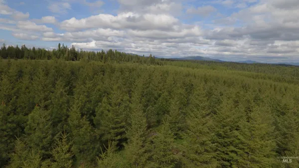 $213,900 | 3 Orofino Id 83544, Orofino, ID 83544