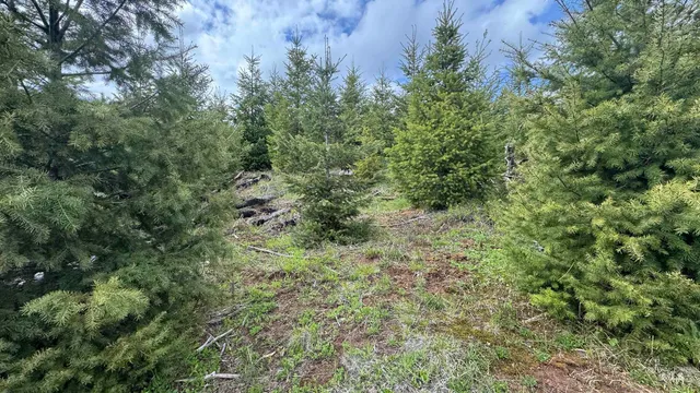 $213,900 | 3 Orofino Id 83544, Orofino, ID 83544