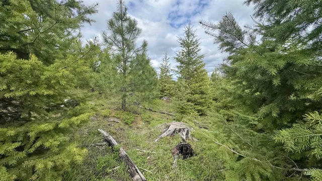 $213,900 | 3 Orofino Id 83544, Orofino, ID 83544