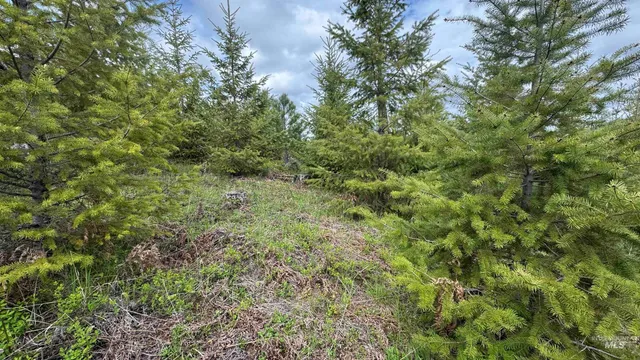 $213,900 | 3 Orofino Id 83544, Orofino, ID 83544