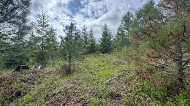 $213,900 | 3 Orofino Id 83544, Orofino, ID 83544