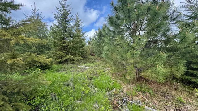 $213,900 | 3 Orofino Id 83544, Orofino, ID 83544