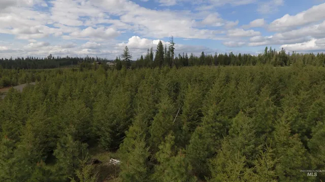 $213,900 | 3 Orofino Id 83544, Orofino, ID 83544