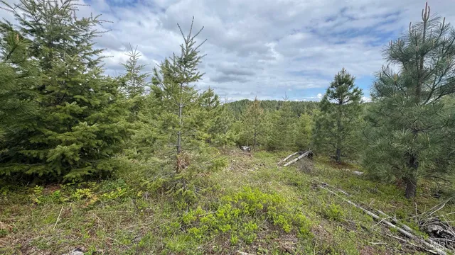 $213,900 | 3 Orofino Id 83544, Orofino, ID 83544