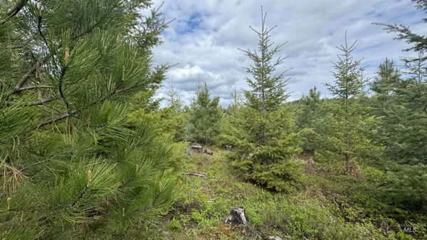 $213,900 | 3 Orofino Id 83544, Orofino, ID 83544