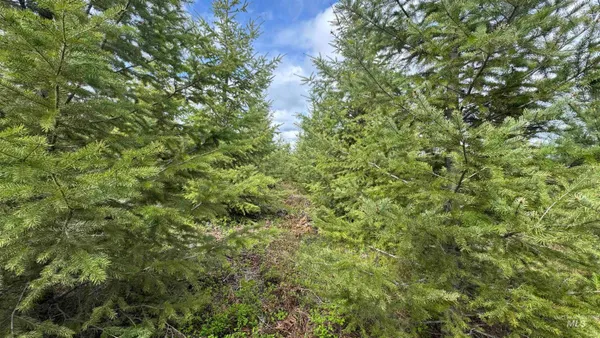 $213,900 | 3 Orofino Id 83544, Orofino, ID 83544