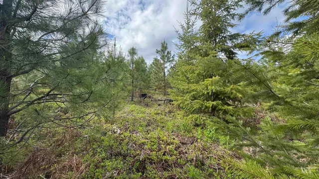 $213,900 | 3 Orofino Id 83544, Orofino, ID 83544