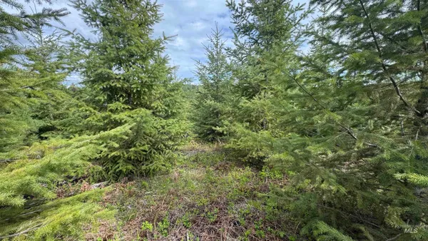 $213,900 | 3 Orofino Id 83544, Orofino, ID 83544