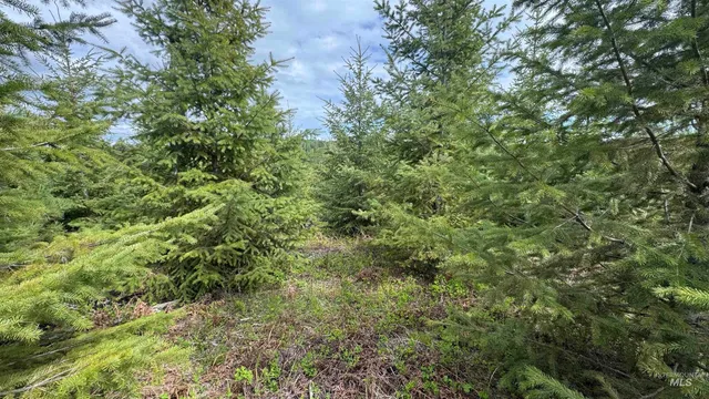 $213,900 | 3 Orofino Id 83544, Orofino, ID 83544