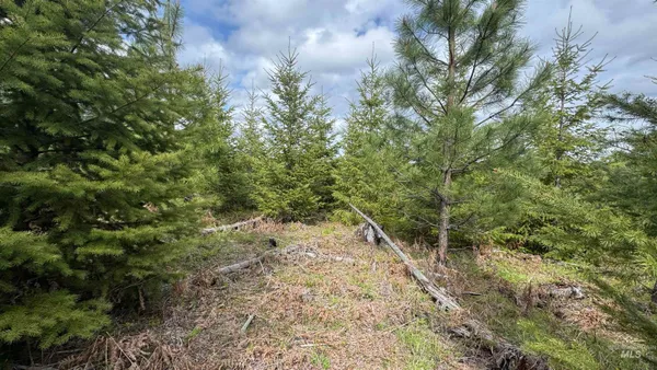 $213,900 | 3 Orofino Id 83544, Orofino, ID 83544