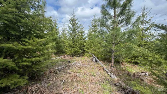 $213,900 | 3 Orofino Id 83544, Orofino, ID 83544