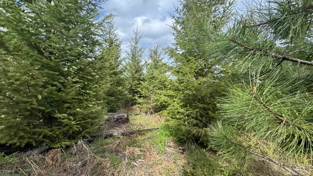 $213,900 | 3 Orofino Id 83544, Orofino, ID 83544