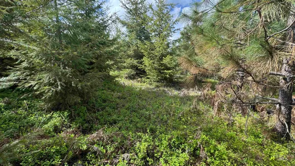 $213,900 | 3 Orofino Id 83544, Orofino, ID 83544