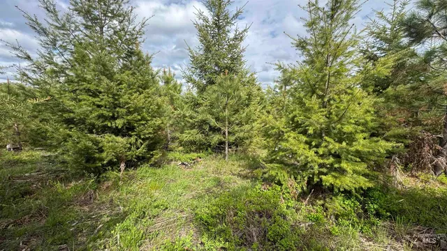 $213,900 | 3 Orofino Id 83544, Orofino, ID 83544