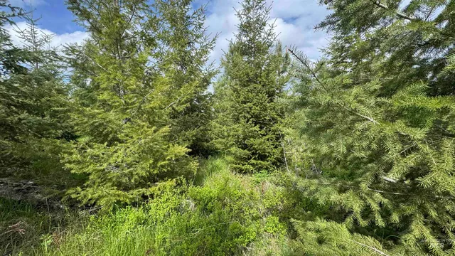 $213,900 | 3 Orofino Id 83544, Orofino, ID 83544