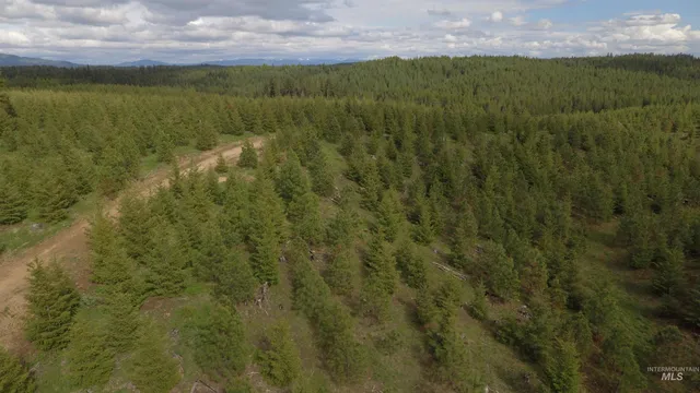 $213,900 | 3 Orofino Id 83544, Orofino, ID 83544