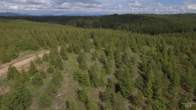 $213,900 | 3 Orofino Id 83544, Orofino, ID 83544