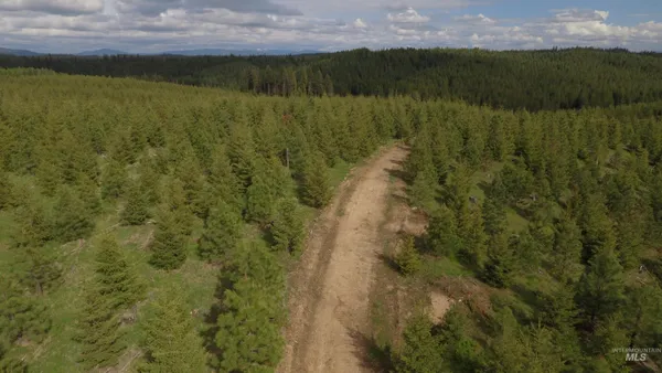 $213,900 | 3 Orofino Id 83544, Orofino, ID 83544