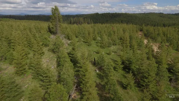 $213,900 | 3 Orofino Id 83544, Orofino, ID 83544