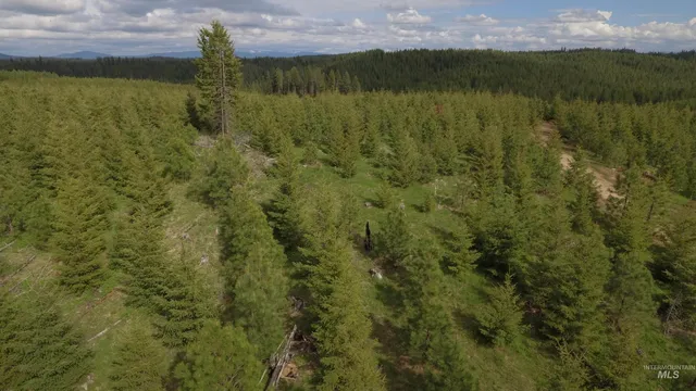 $213,900 | 3 Orofino Id 83544, Orofino, ID 83544