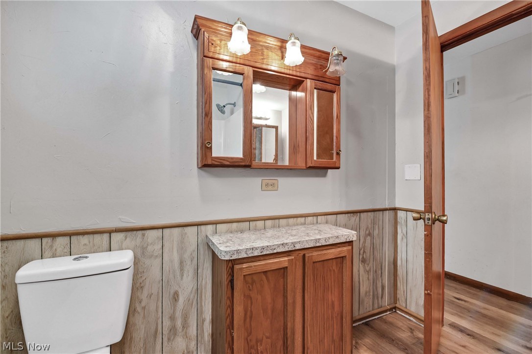 301 Crosse Road Amherst, OH 44001 - Photo 38 of 49 Bathroom featuring a wood-finish vanity with a light-toned countertop, a matching wood-finish medicine cabinet with integrated lighting, wood-finish paneling, and wood-finish flooring