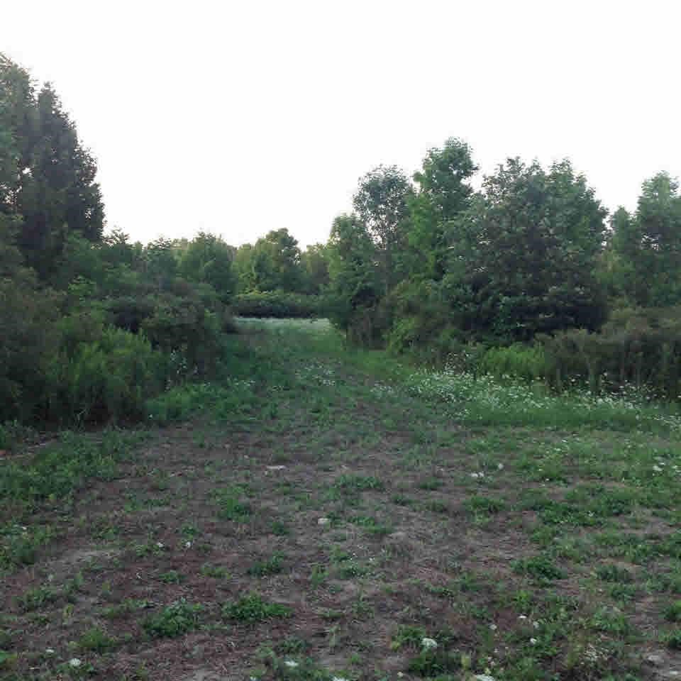 0 Nettney Capac, MI 48014 - Photo 25 of 32