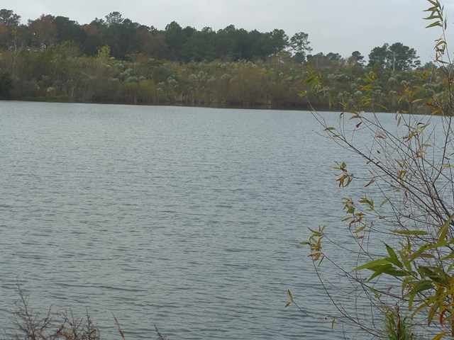 Lot 8 Malaga Circle Myrtle Beach, SC 29579 - Photo 7 of 8 Gallery Image 7