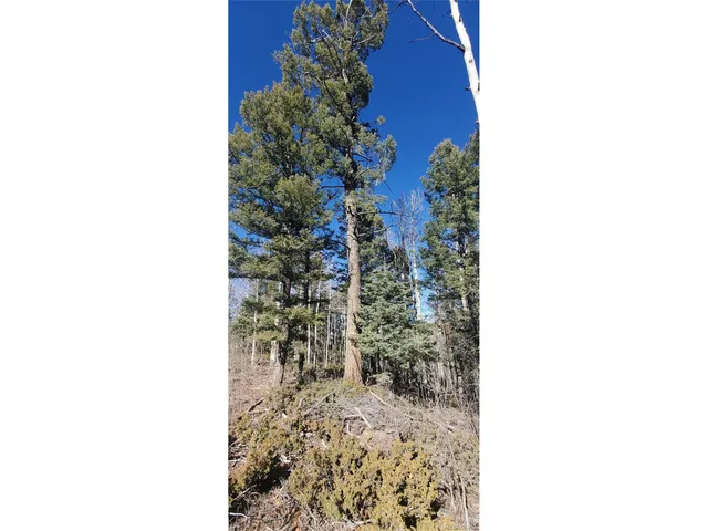 a close view of a house