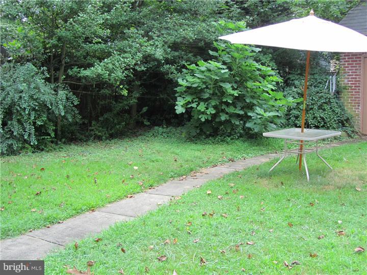100 East Waverly Road Glenside, PA 19038 - Photo 24 of 25 Side Yard
